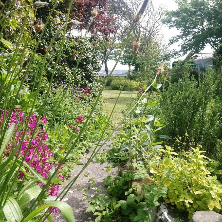 Willa Unique Townhouse With Large Garden Down To The Sea Killough Zewnętrze zdjęcie